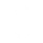 MS Distribuidora